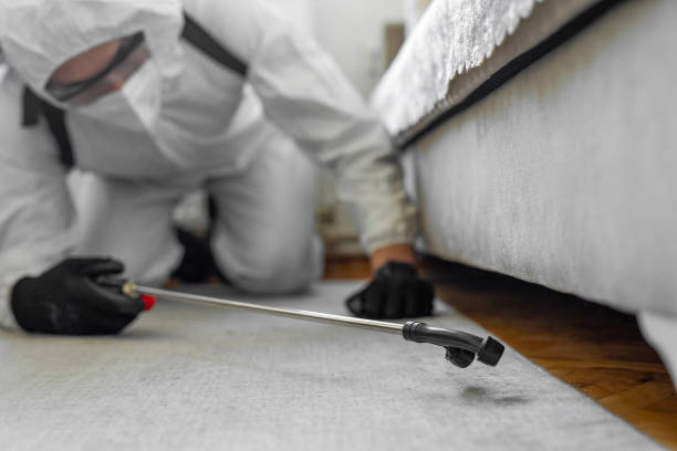 Professional Cockroach Control technician working in Darien, WI